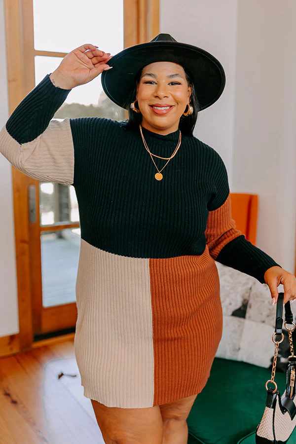 Cozier Than Most Colorblock Sweater Dress Curves - Image 8