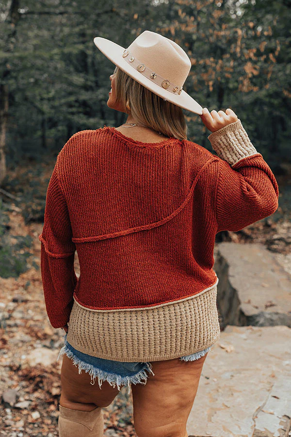 Cozy Darling Knit Sweater in Rust Curves - Image 3