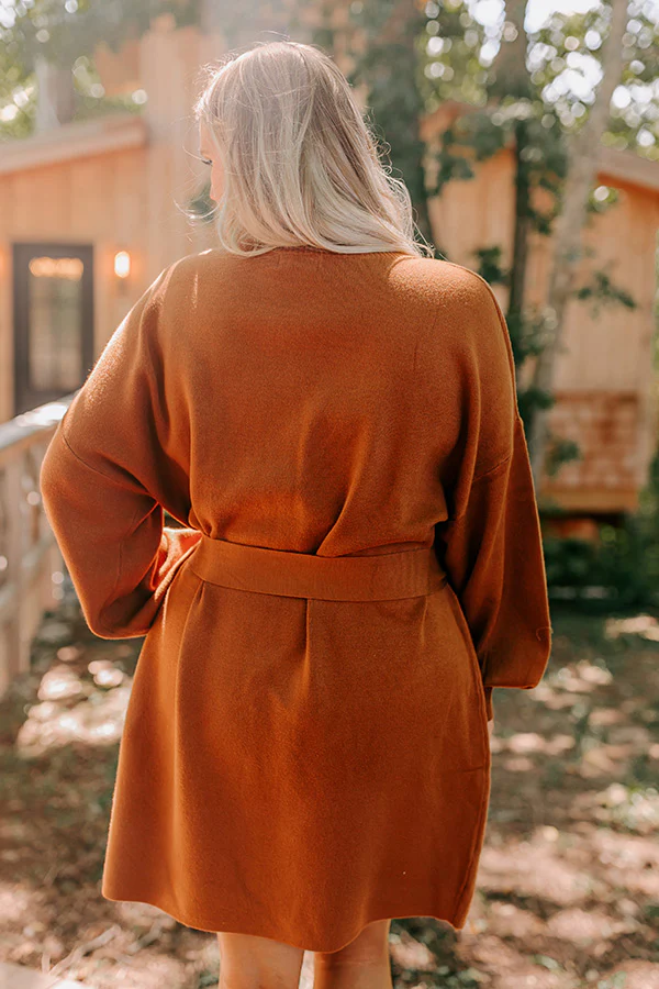 Slow Mornings Sweater Dress in Cinnamon Curves - Image 4
